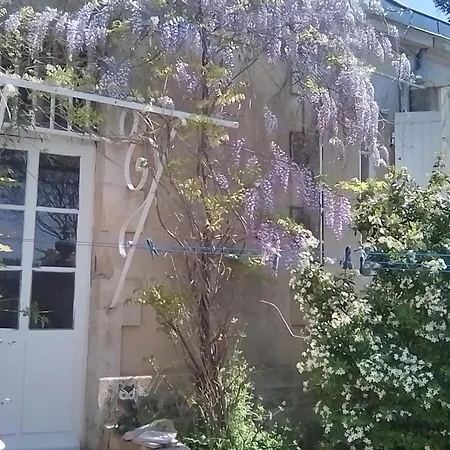 Le Chateau Ste Marie 住宿加早餐酒店 Fors